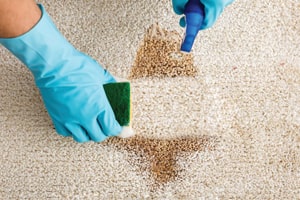 carpet-stain-removal